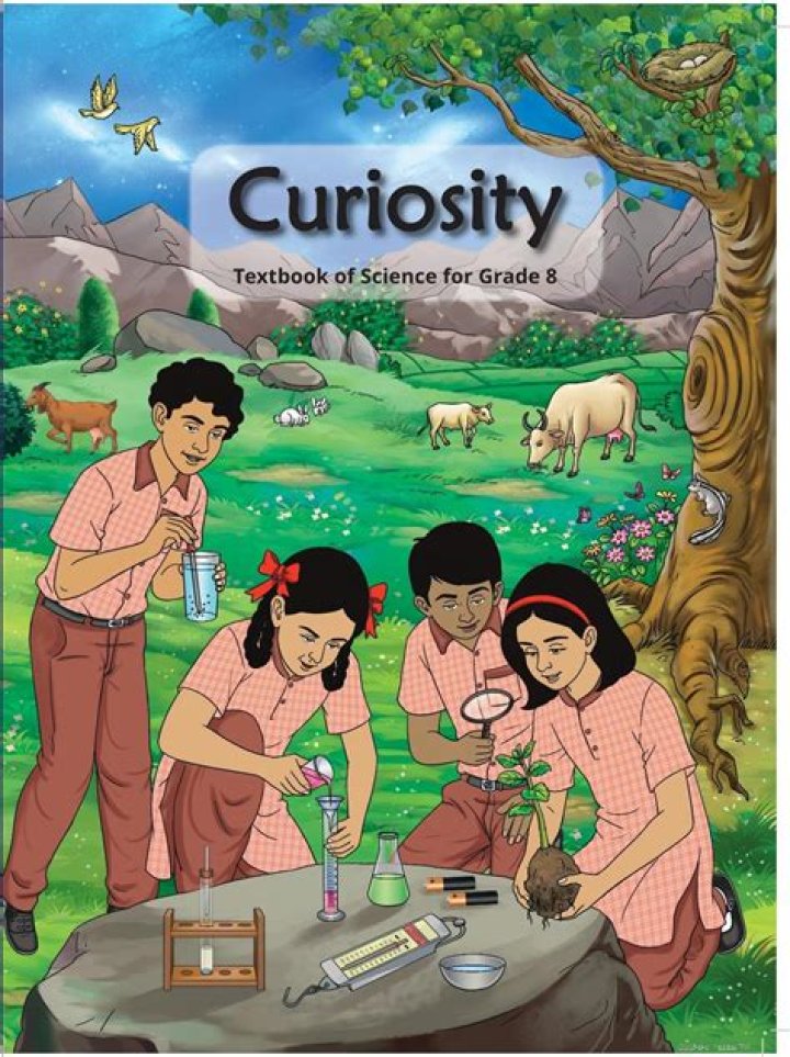 A Comprehensive Guide For Curiosity Seekers