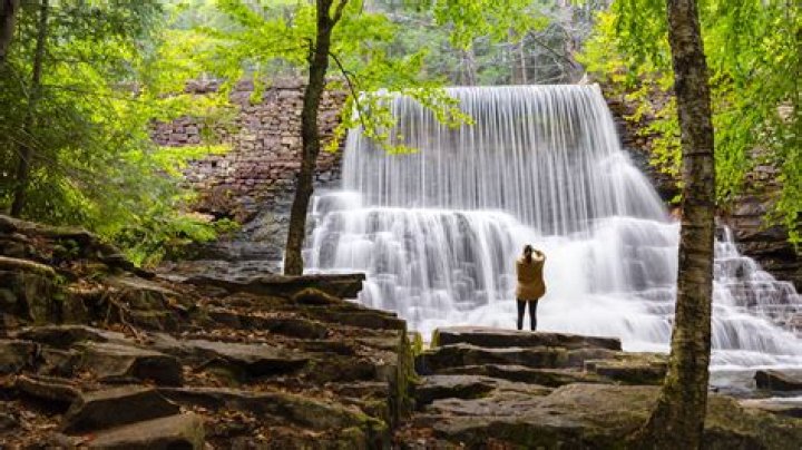 Bernard Stapelfeld Pennsylvania: A Guide To The Local Legend