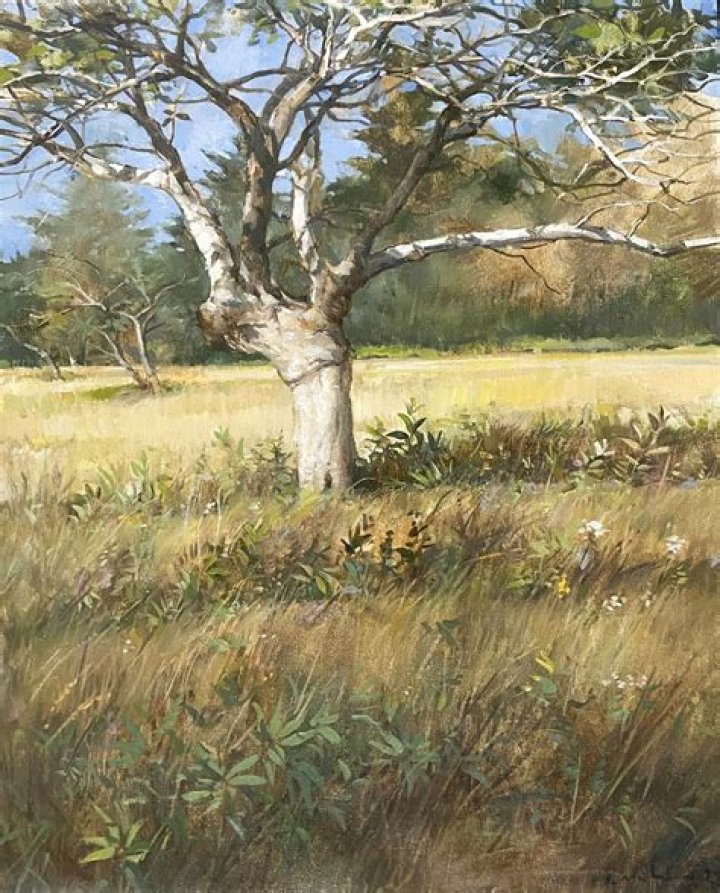 Cameron Hickenbottom: An Extraordinary Artist