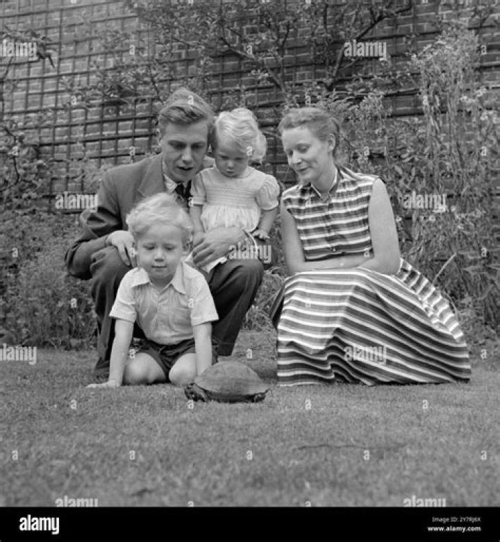 Discover The Family Life Of David Boreanaz: Meet His Children