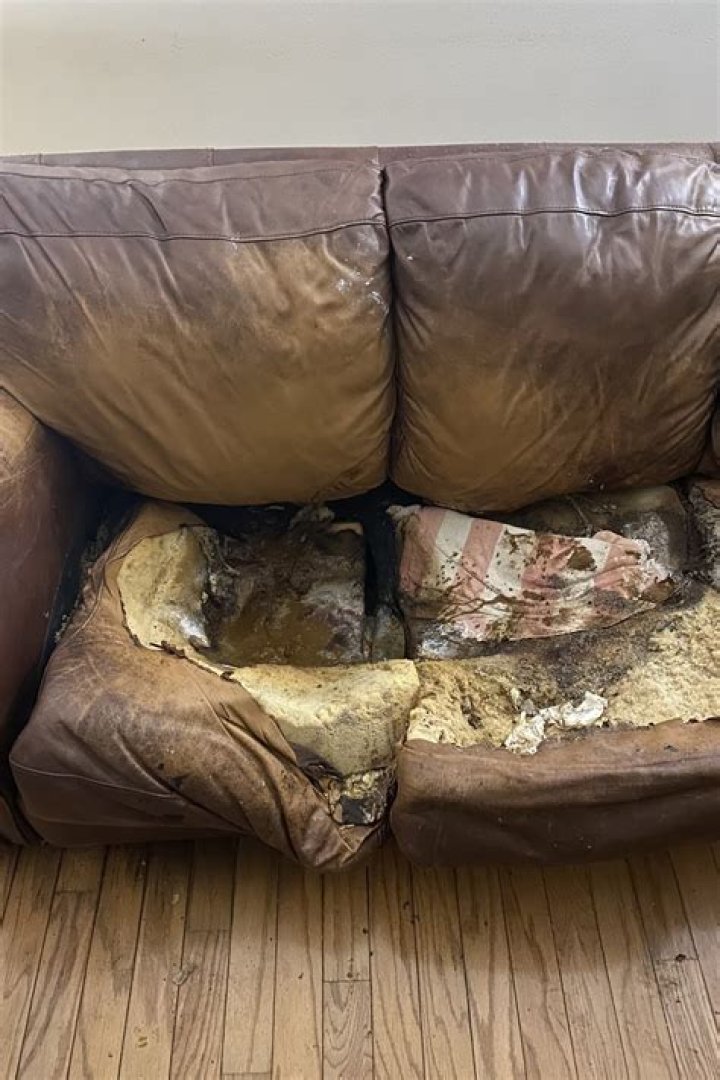 Discover The Real Behind "Lacey Fletcher Couch Real Photos"