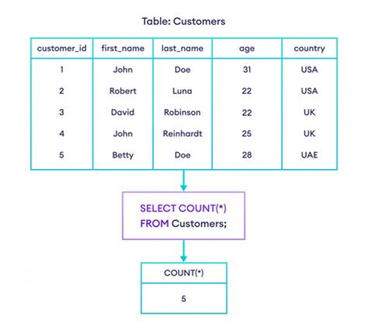 Discover The Total Count And Its Significance