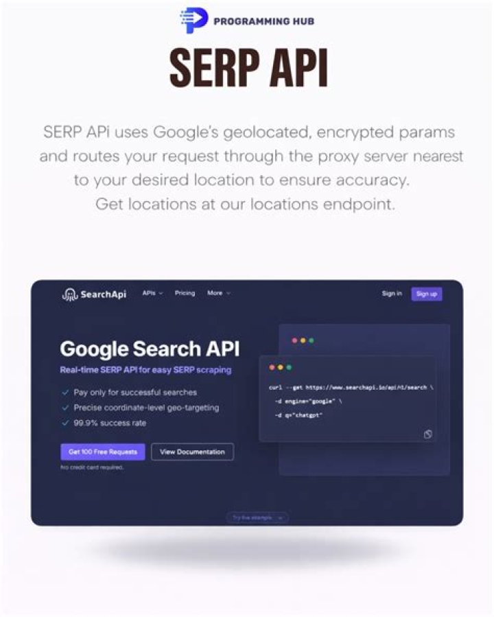 Find Your SERP Position With An Easy API Integration