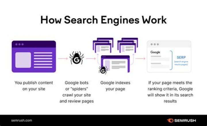 Find Your Site's Ranking With Our Website Search Engine Ranking Checker