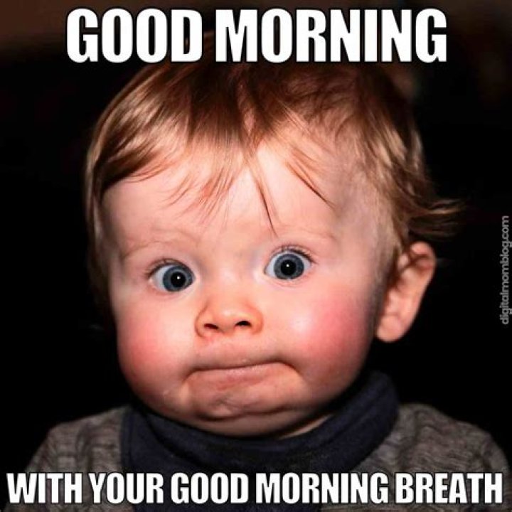 Good Morning Meme Funny