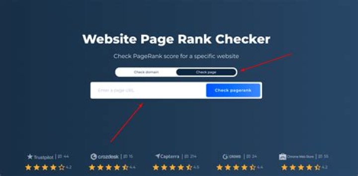 Instant And Precise Google Page Rank Checker API For Your SEO Needs