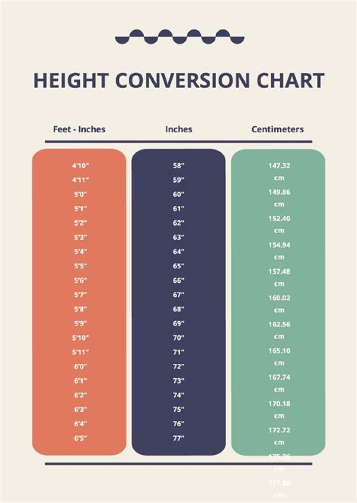 Nelly's Height In Feet: A Definitive Guide