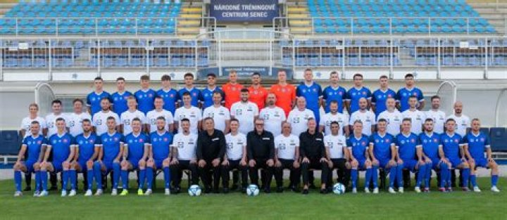 Skalica : Zemplín prenos Detail zápasu - MFK Zemplín Michalovce 27 júla 2024