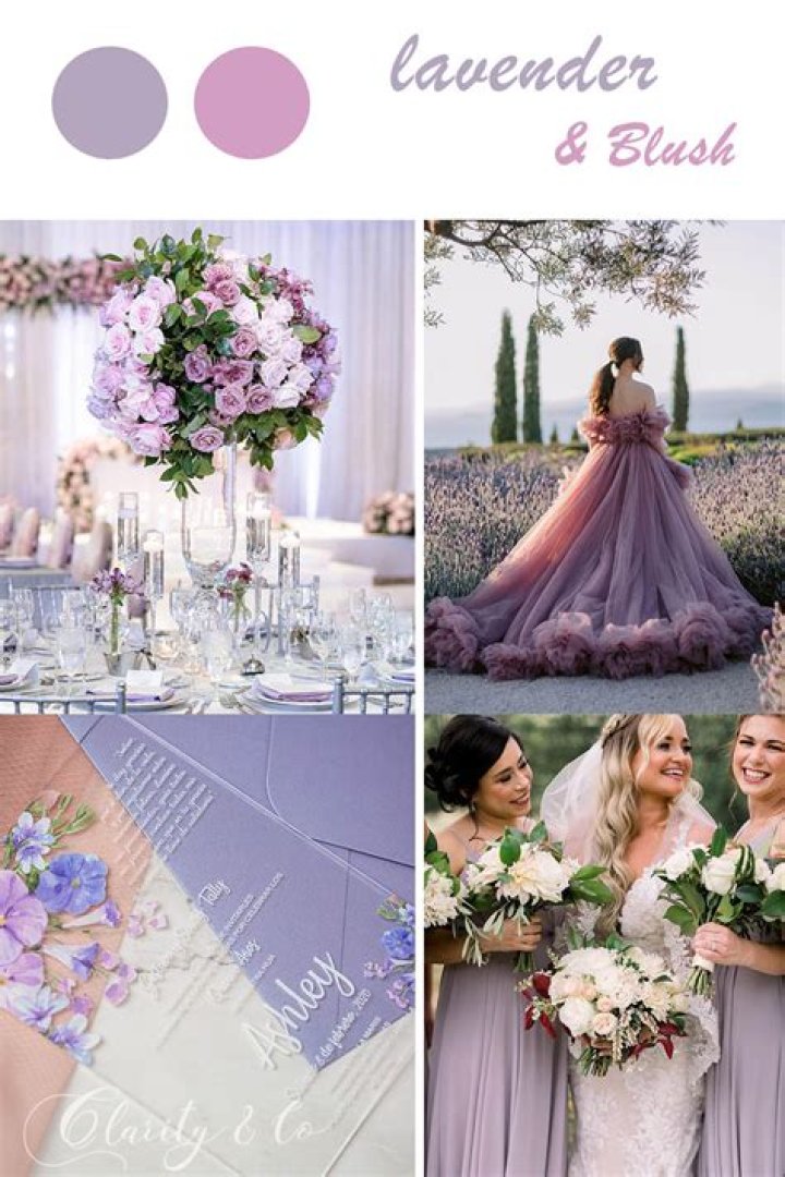 The Allure Of Purple Light
