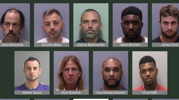The Arrest Record Of Molly Noblit: Is She Under Custody?