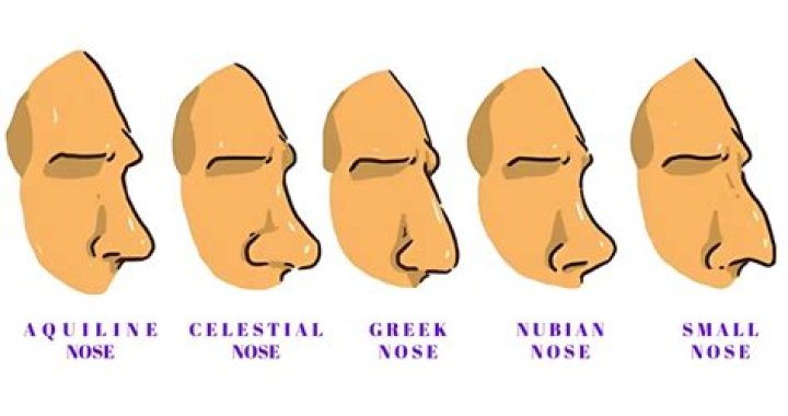 The Ultimate Guide To Chad Michael Murray's Nose: Shape, Size, And More
