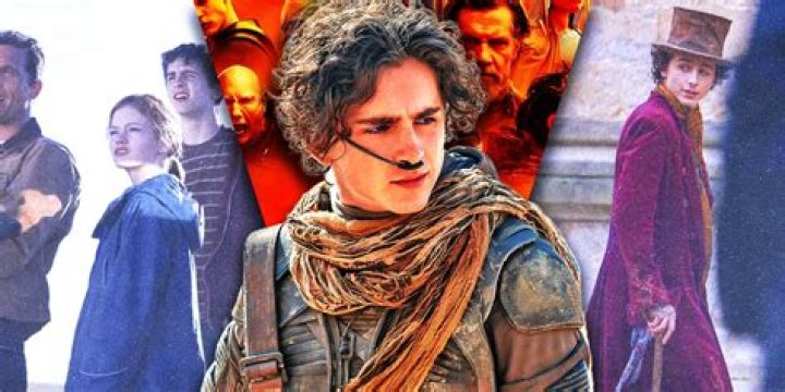 The Ultimate Guide To Movies Starring Timothe Chalamet