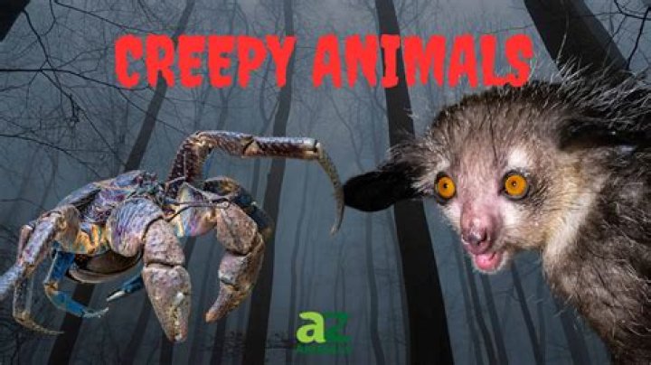 The Ultimate Guide To The Eeriest And Creepiest Things In The World