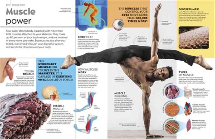 The Ultimate Guide To The World's Most Esteemed Dancers
