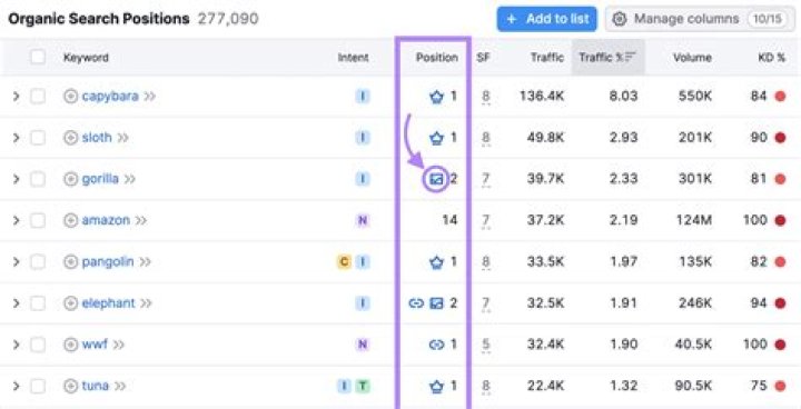 The Ultimate Keyword Position Checker: Track Your Rankings Effortlessly