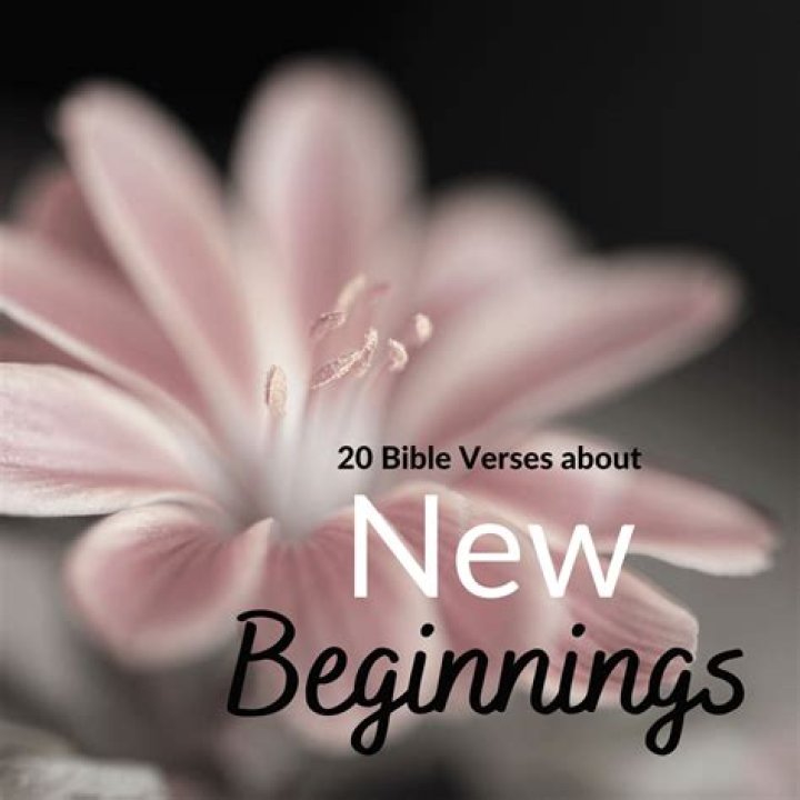 Tipper Gore's New Life: Remarriage And New Beginnings