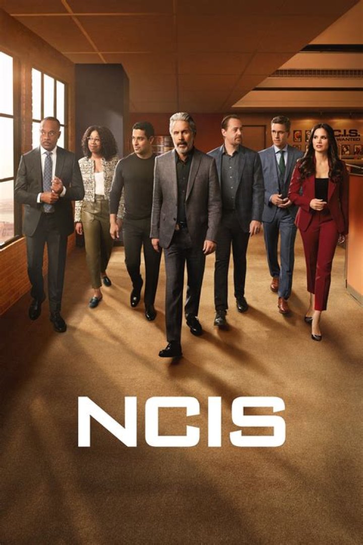 Uncover The Secrets Of Jimmy Palmer's Wife In NCIS