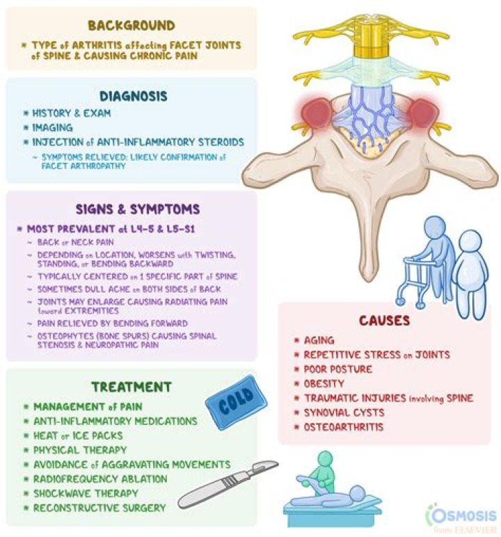 Understanding Hypertrophic Facet Disease: Causes, Symptoms, And Treatment
