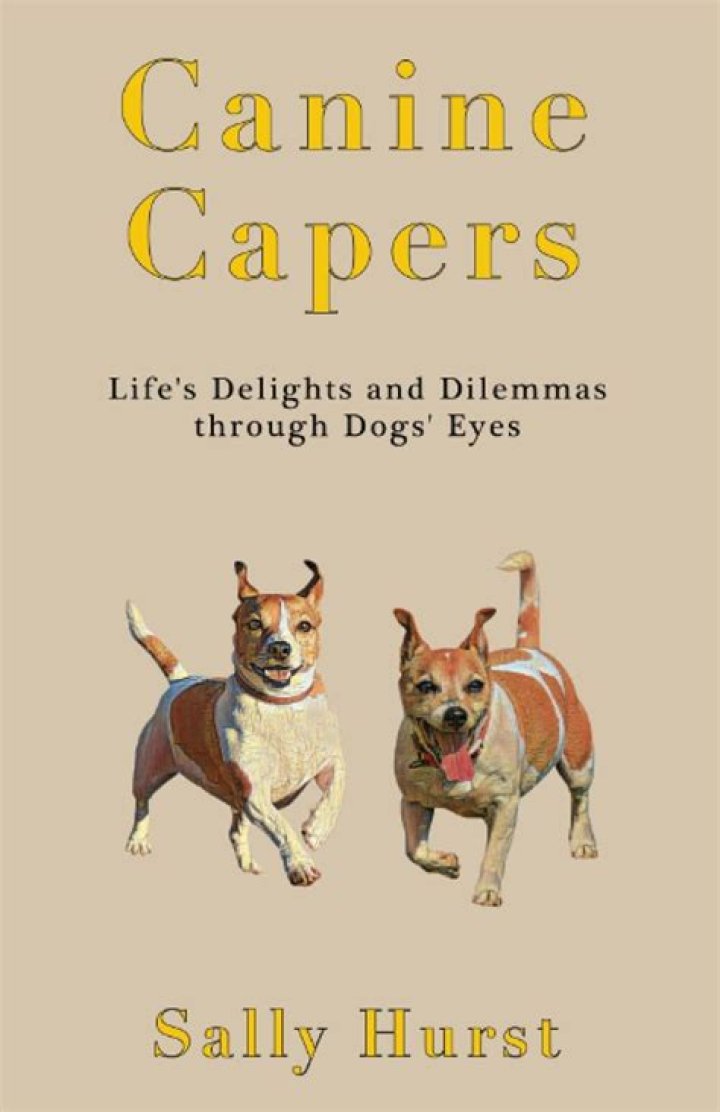Unleashing Lily Gladstone's Canine Capers In Reservation Dogs