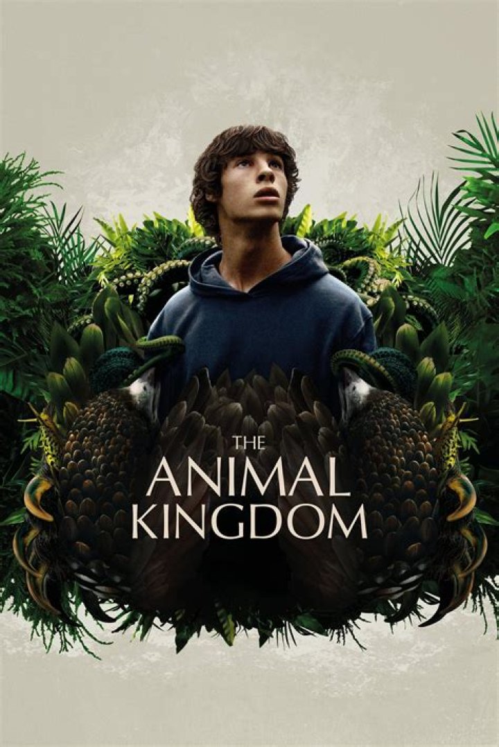 Unlocking The Power Of The Animal Kingdom