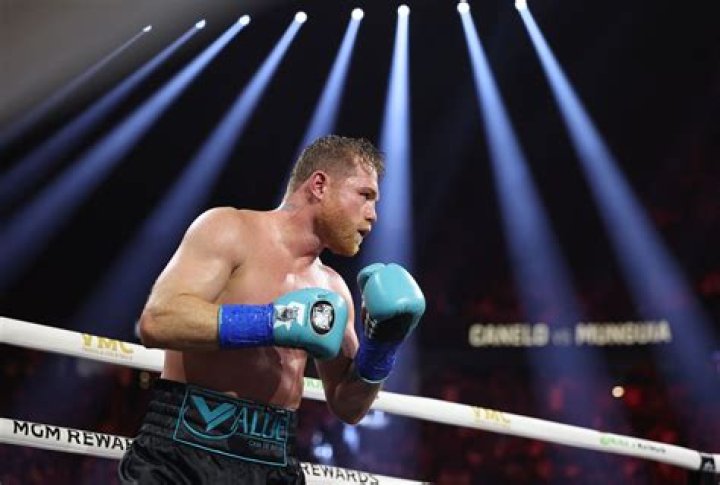Who Is Canelo's Wife? Explore The Life Of His Partner