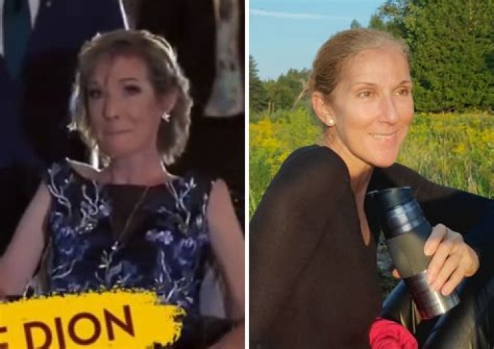 Why Is Celine Dion In A Wheelchair