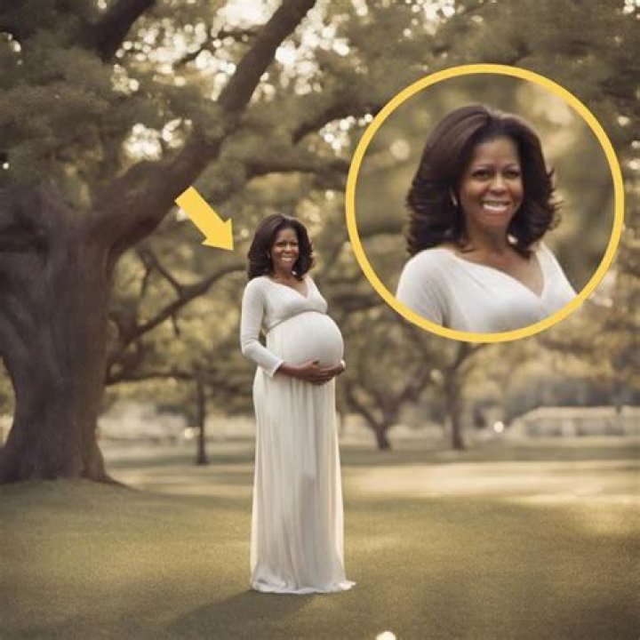 Why The Absence Of Pictures Of Michelle Obama Pregnant?